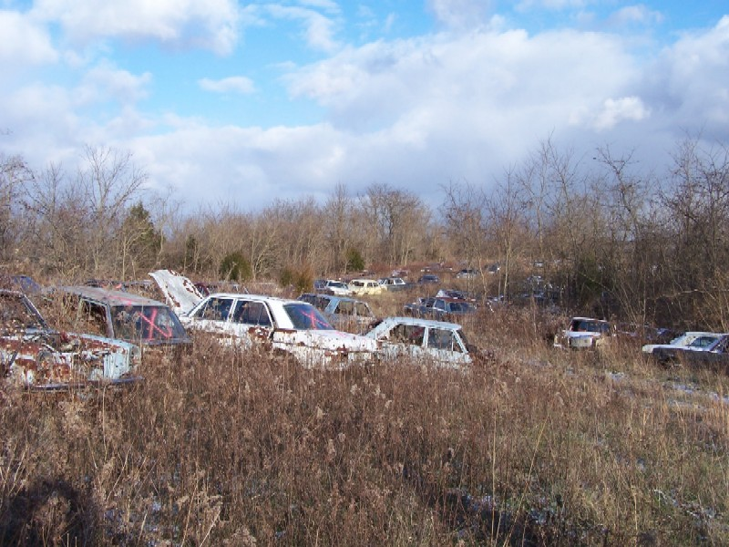 Illustration for article titled Over 1,000 Vintage Mercedes-Benzes Await The Cruel Jaws Of The Crusher In Kentucky